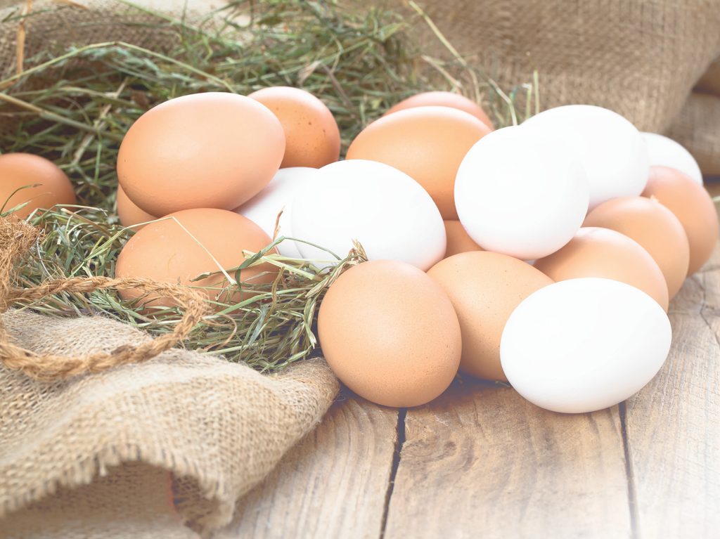 Eier auf Stroh und Holz